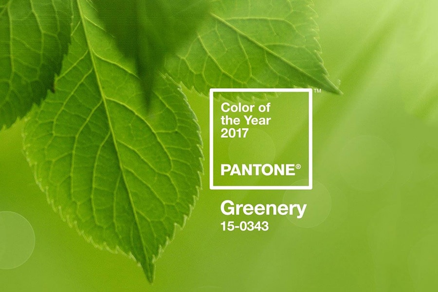 Pantone Color of the Year 2017 Announcement Greenery Green