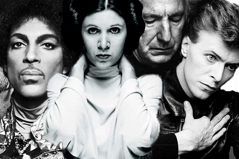 Celebrating Some of 2016's Fallen Heroes