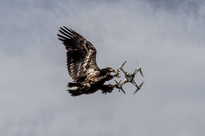 Take a Look at 'TIME' Magazine's Top 100 Photos for 2016