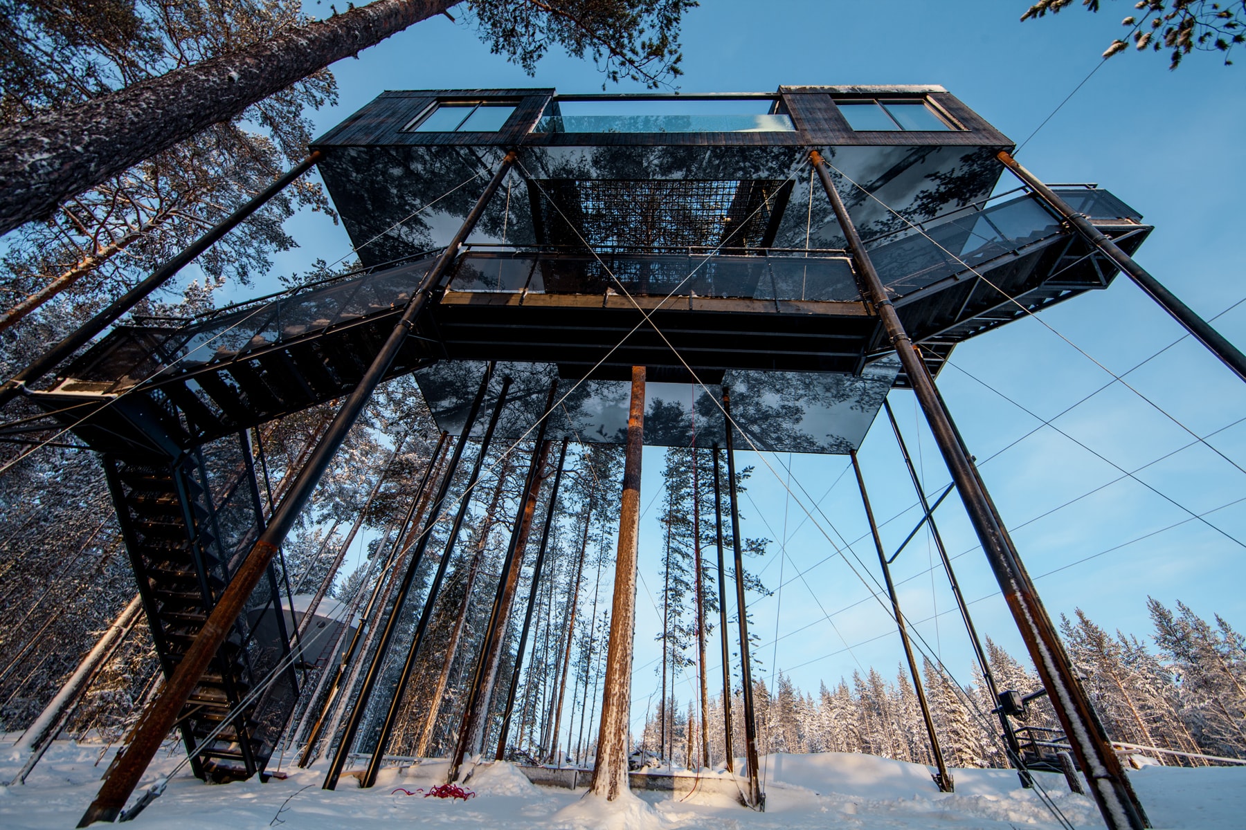7th room treehouse tree house trees cabin cabins treehotel hotel Sweden Snøhetta snohetta seventh forest Harads