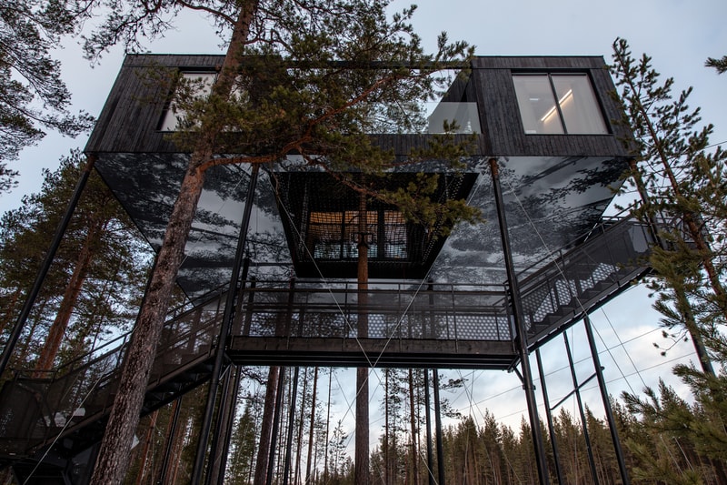 7th room treehouse tree house trees cabin cabins treehotel hotel Sweden Snøhetta snohetta seventh forest Harads