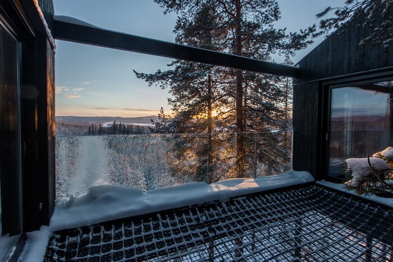 7th room treehouse tree house trees cabin cabins treehotel hotel Sweden Snøhetta snohetta seventh forest Harads