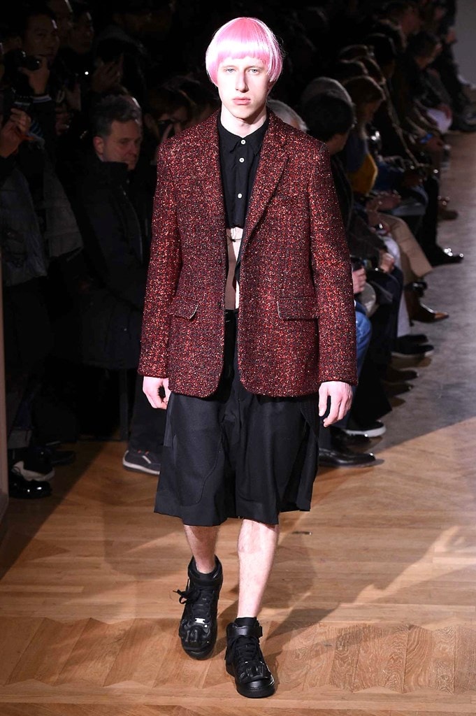 Comme des Garcons Homme Plus 2017 Fall Winter Collection