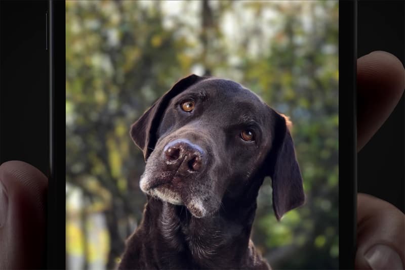 Apple iPhone 7 Plus Portrait Mode Ad Campaign