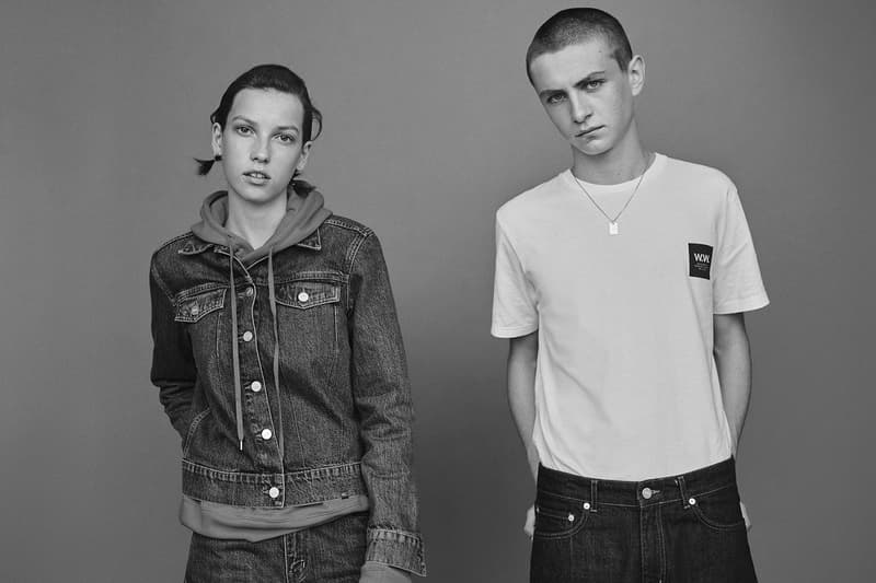 Exploring the Dane's Fascination with Minimalism