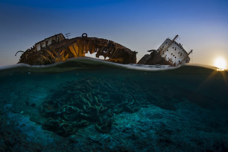 Underground Photographer of the Year Winners 2017 Octopus