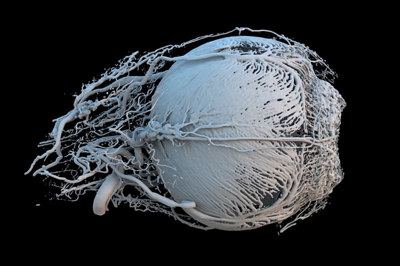 Best Science Photos of 2017