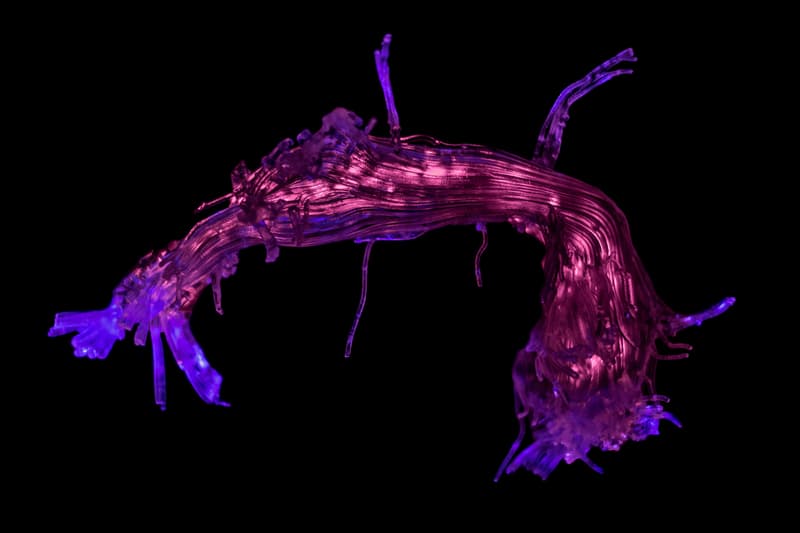 Best Science Photos of 2017