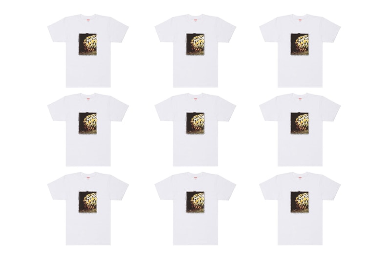 Dover Street Market Ginza 5th Anniversary Supreme Grid