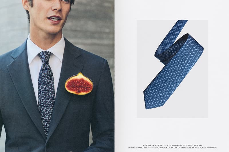 Hermes 2017 Spring/Summer Ties Collection