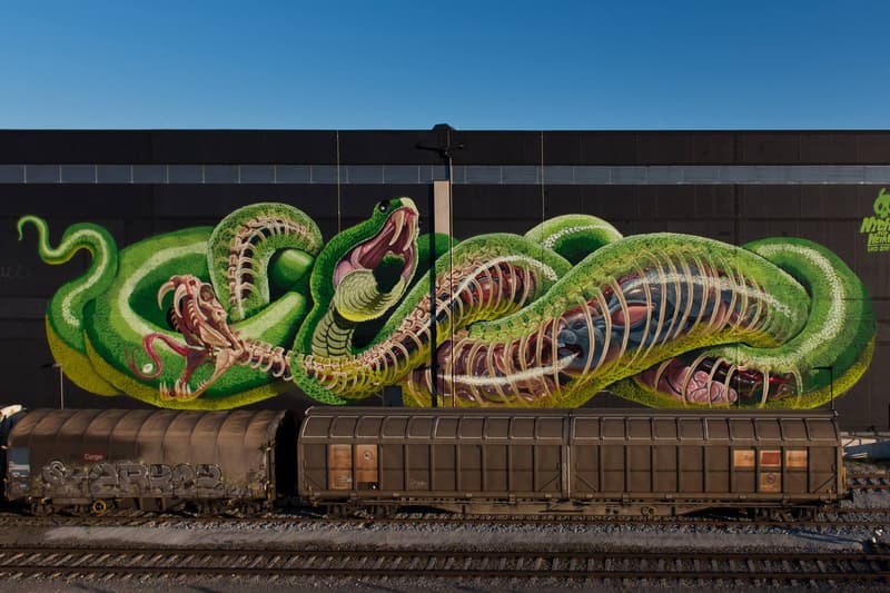 Nychos Anatomically Correct Bisected Animal Murals