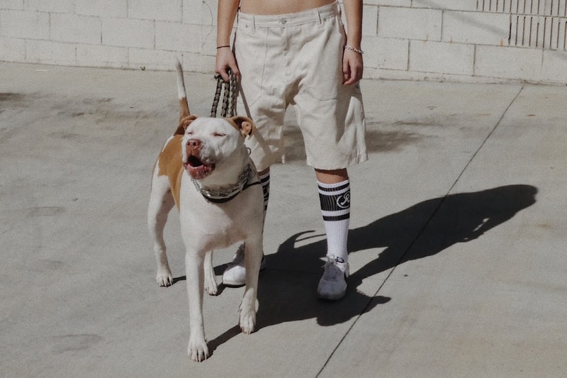 Richardson 2017 Spring Summer Delivery Two