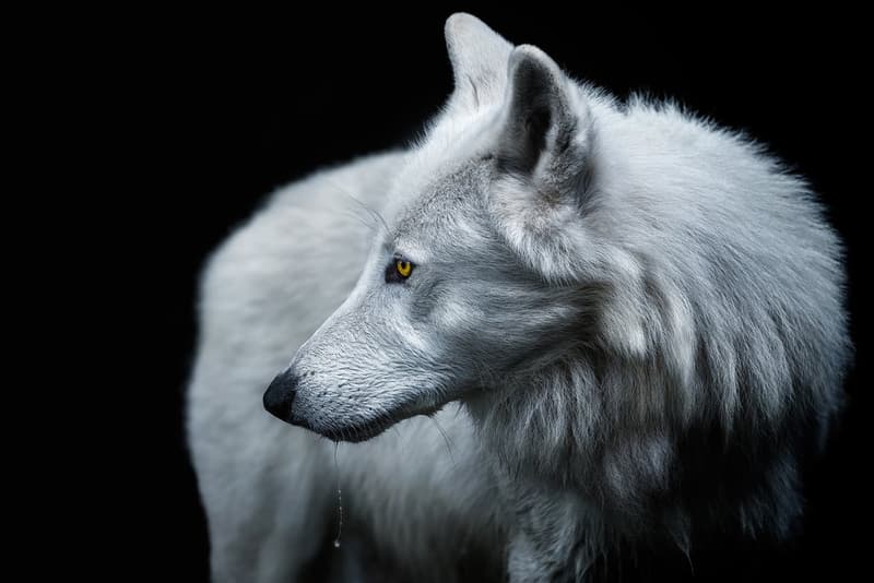 Smithsonian Readers Choice Awards Finalists Photo Contest