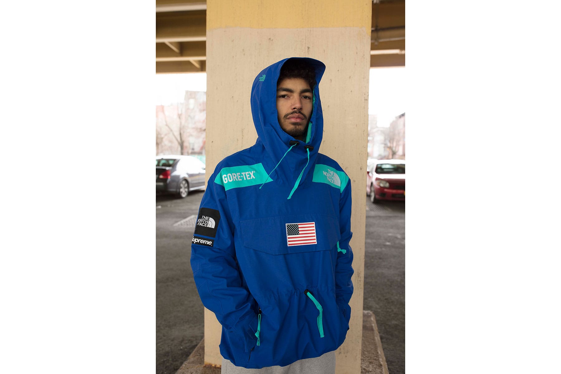 hoodie supreme x the north face
