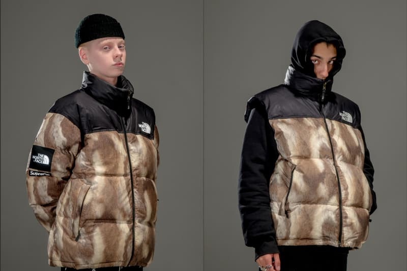 Gully Guy Leo Mandella In Supreme x The North Face