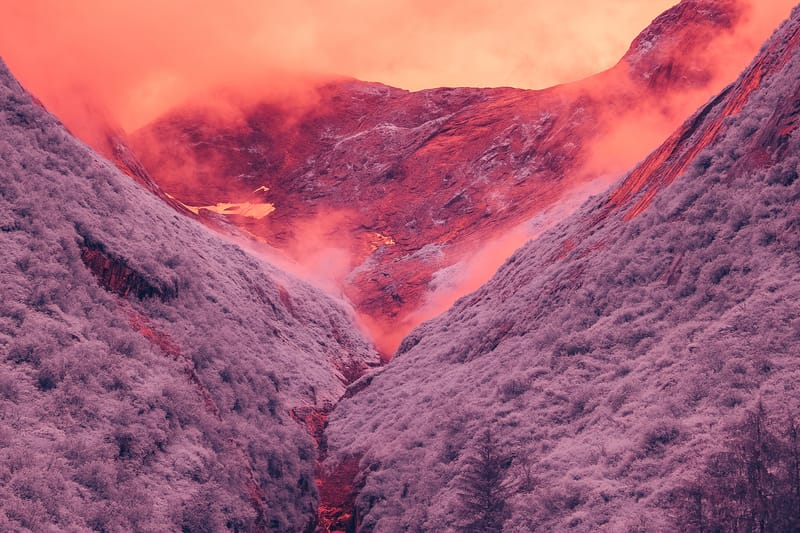 These Photographs of Alaska's Tracy Arm Fjord Are Stunning and Ethereal
