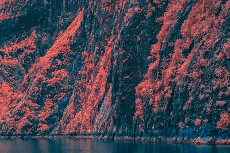 GMUNK's Tracy Arm Fjord Photos
