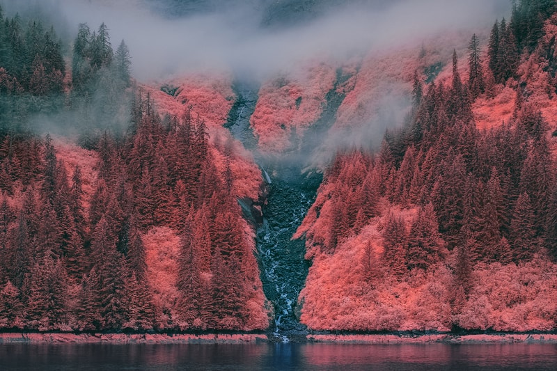 GMUNK's Tracy Arm Fjord Photos