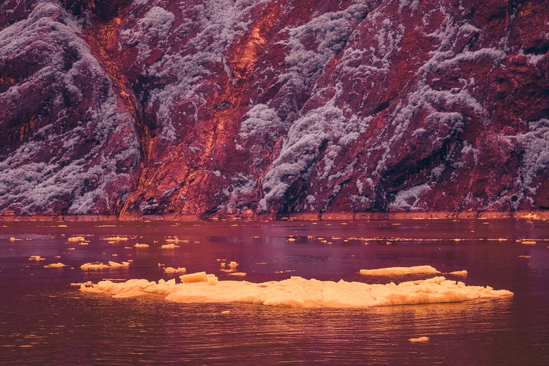GMUNK's Tracy Arm Fjord Photos
