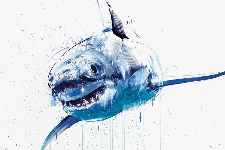 Dave White Will Open His Biggest Exhibition to Date This Summer