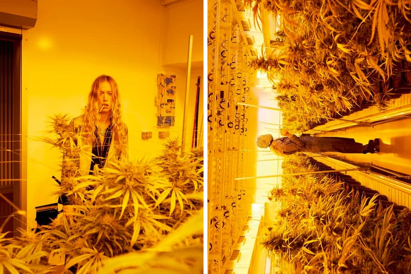 Juergen Teller 'System' Magazine Marijuana Shoot Rihanna Cancel