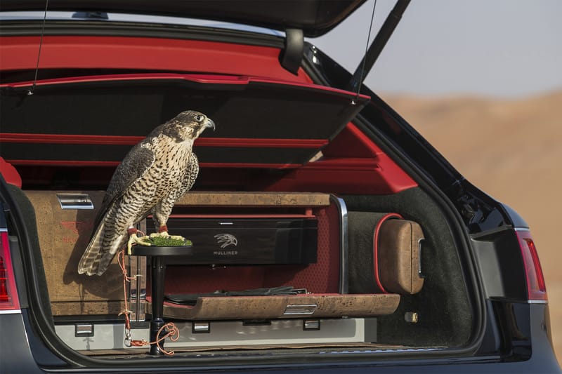 This Bentley Bentayga Is Specifically for... Falconry?