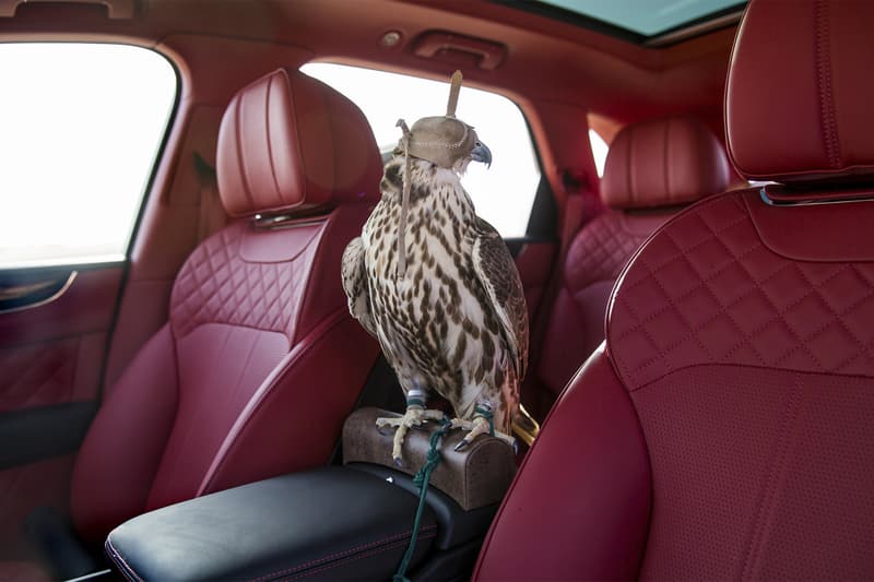 Bentley Bentayga Falconry