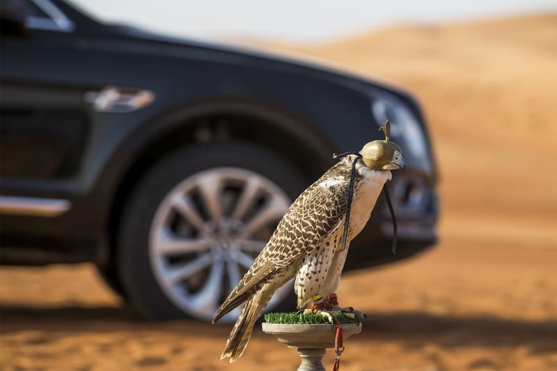 Bentley Bentayga Falconry