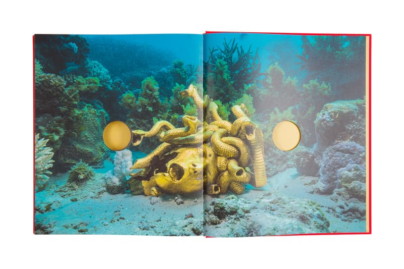 Damien Hirst Treasures from the Wreck of the Unbelievable Book