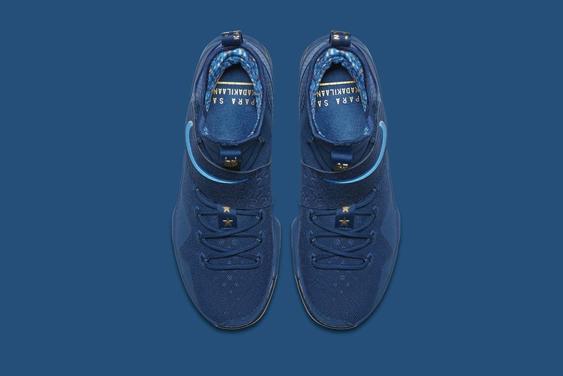 Nike LeBron 14