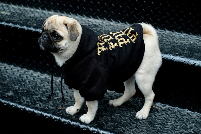 Pawkier Streetwear collection line drop dog puppy pupper doggo yeezy off-white anti social social club hoodie