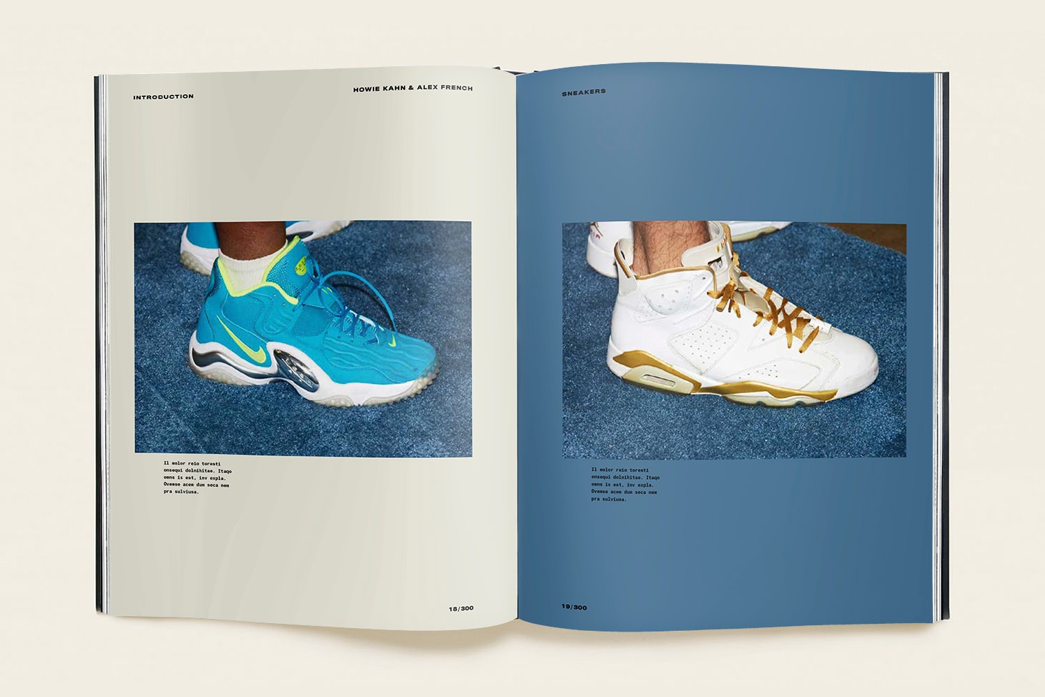 Sneakers Book Howie Kahn Alex French