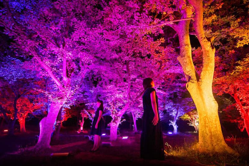 teamLab Japan Mifuneyama Rakuen Park Light Installations Artwork