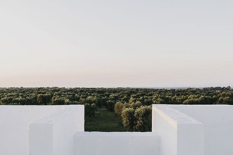 Masseria Moroseta Summer Country House Puglia Italy Ostuni Andrew Trotter