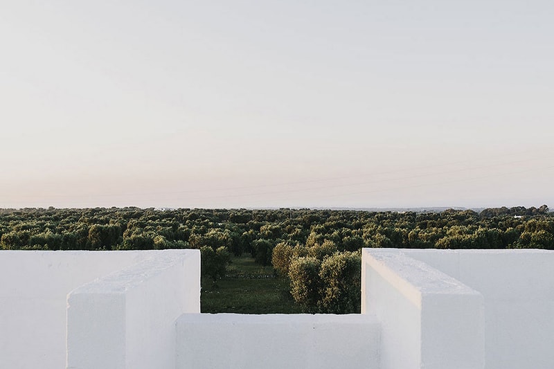 Masseria Moroseta Summer Country House Puglia Italy Ostuni Andrew Trotter