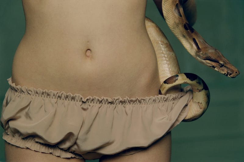 Cutting-Edge Exhibits, Installations & NSFW Artwork You Should Check Out