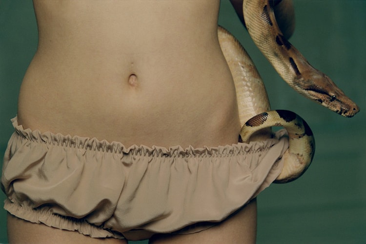 Cutting-Edge Exhibits, Installations & NSFW Artwork You Should Check Out