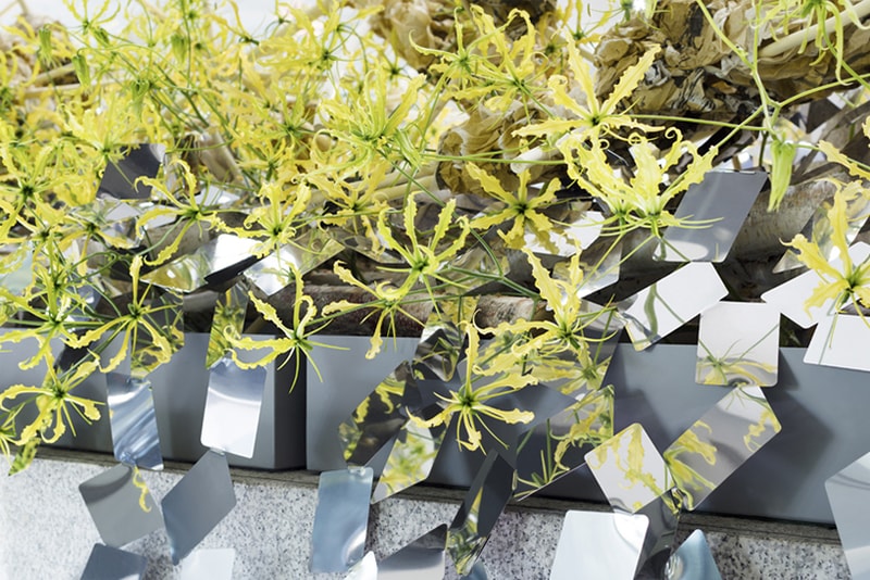 Nendo Japan Creates An Ivy of Mirrors at Sogetsu