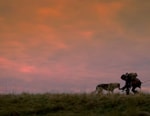 'Alpha' Explores the Prehistoric Bond Between Man and Wolf