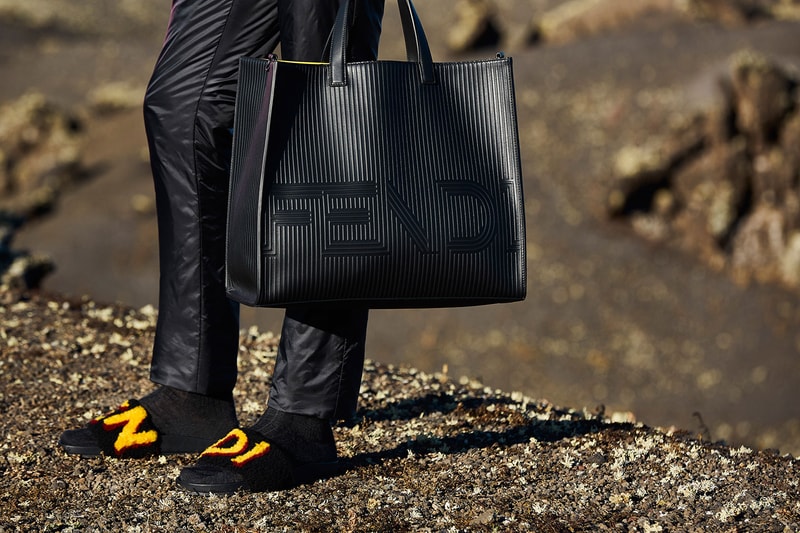 Fendi 2017 Fall/Winter Campaign Silvia Fendi Vocabulary Dictionary