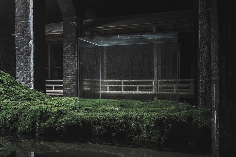 Nature Takes Over at Artist Hiroshi Sambuichi's New Copenhagen Installation