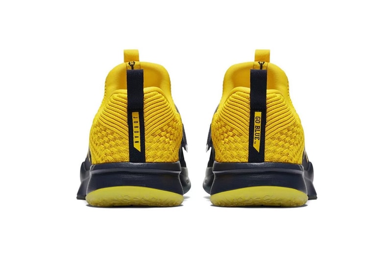 Jordan Trainer 2 Flyknit Michigan