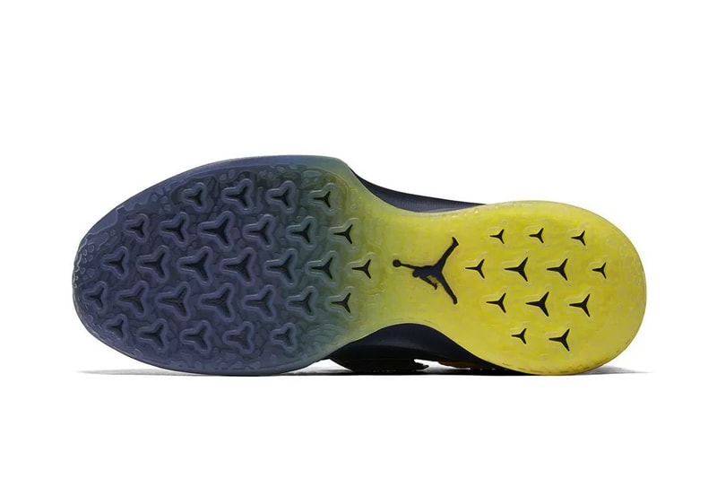 Jordan Trainer 2 Flyknit Michigan