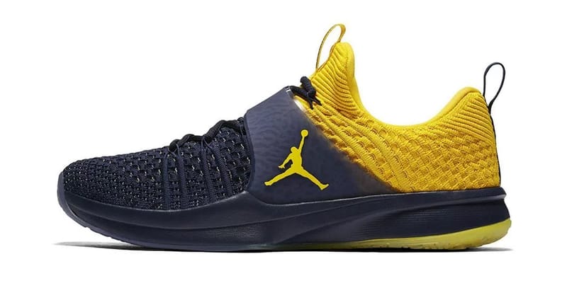 nike jordan trainer 2 flyknit