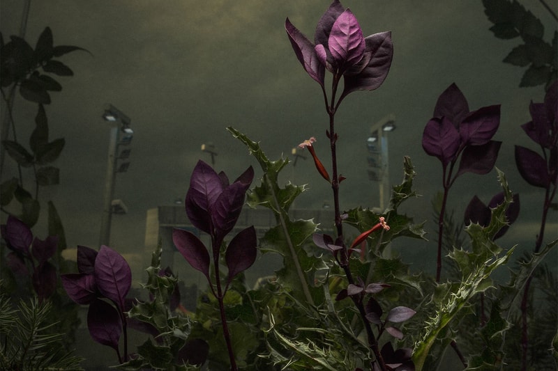 Magnum Photography Awards 2017 Winners LensCulture