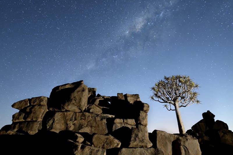 Nikon Confirms the D850 and Teases Its Stunning 8K Timelapses