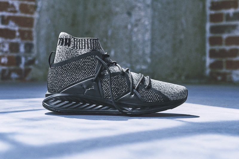 PUMA IGNITE EvoKNIT Wave The Weeknd