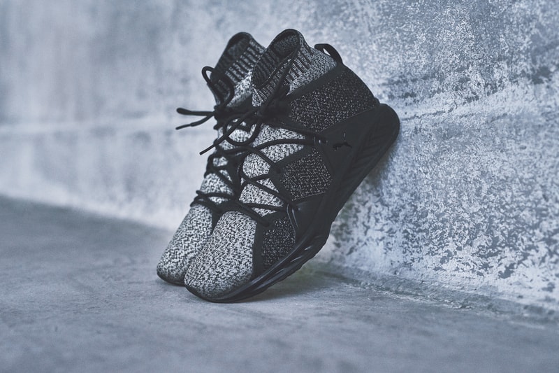 PUMA IGNITE EvoKNIT Wave The Weeknd