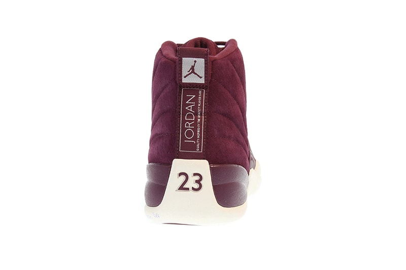 Air Jordan 12 Bordeaux Purple