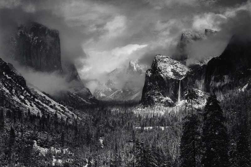 MoMA Will Auction More Than 400 Photographs